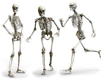 skeletons Movement